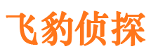 明光市调查公司